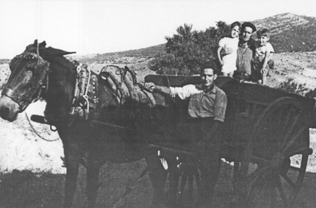 Metiendo paja en el pajar. Villarreal de Huerva.