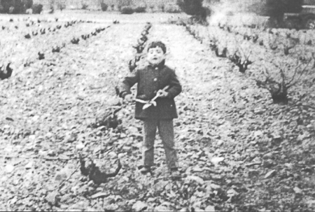 JosÃ© A. Gaudioso podando en la viÃ±a. Villarreal de Huerva.