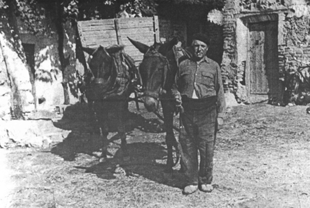 Vecino de Villarreal de Huerva con la pareja de mulas.