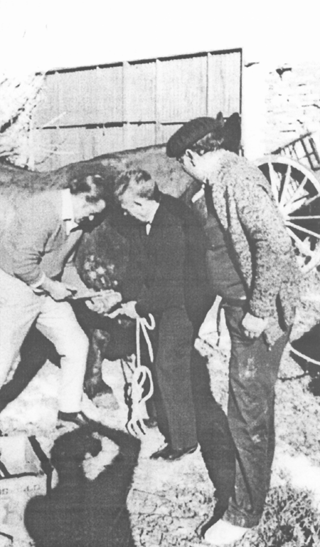 Los herreros calzando a la mula. Villarreal de Huerva.