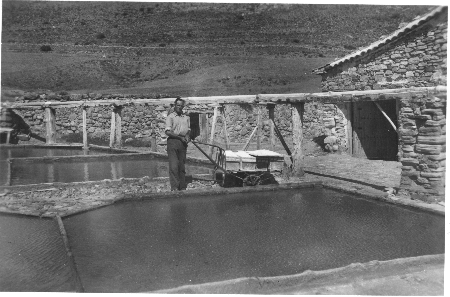 Salinas. Ojos Negros