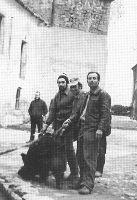 Manuel Juan y compaÃ±Ã­a con un jabalÃ­ cazado. Langa del Castillo.