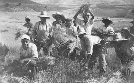 Grupo de segadores. Langa del Castillo.