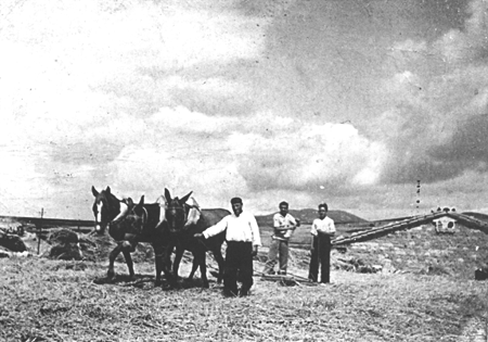 Trillando en la era. Langa del Castillo.