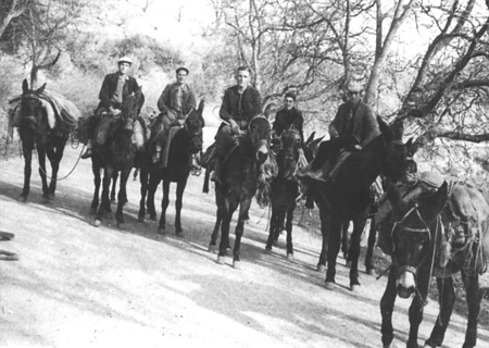 Regresando de vender paja. Langa del Castillo.