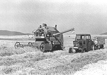 Juan Francisco MuÃ±oz subiendo a la cosechadora. Langa del Castillo.