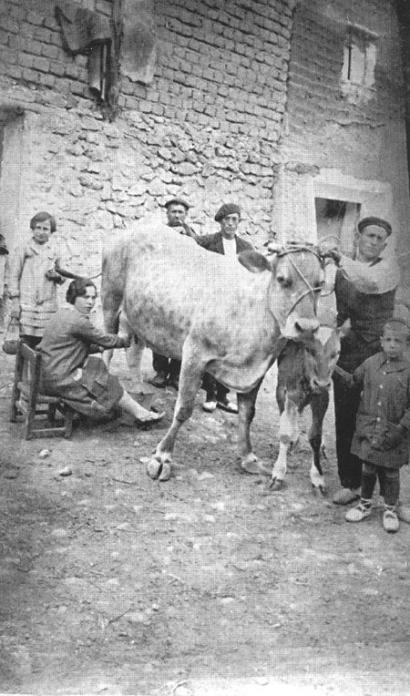 Grupo de vecinos de langa del castillo junto a un ternero y una vaca.