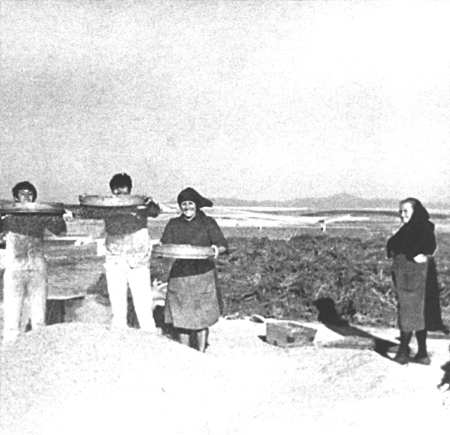 Cribando el grano en la era. Langa del Castillo.