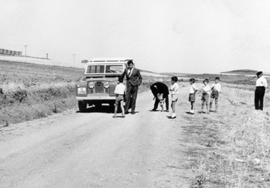 En una carretera de la localidad de Cuencabuena.