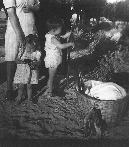 Paella de codornices en el campo. Calamocha.