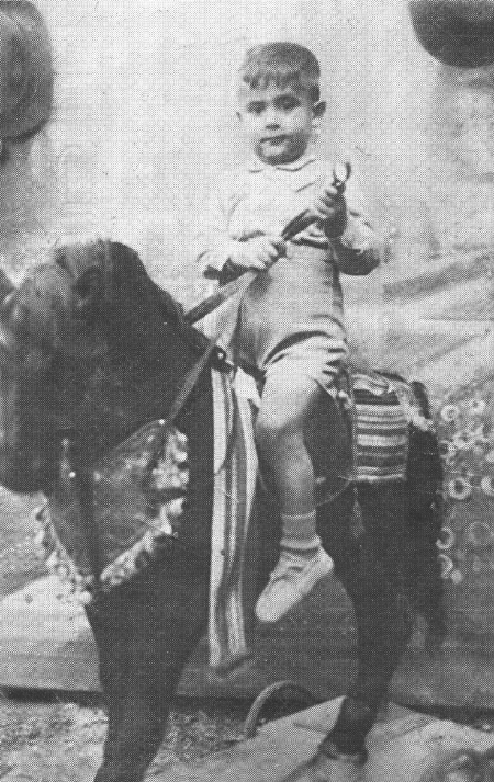 Fidel JuliÃ¡n. Langa del Castillo.