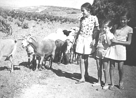 NiÃ±as viendo pasar las cabras. Langa del Castillo.