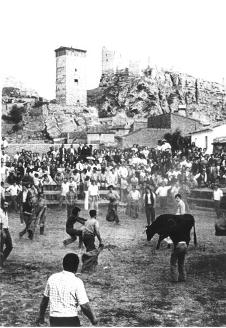 Vaquillas por las calles de Maluenda.