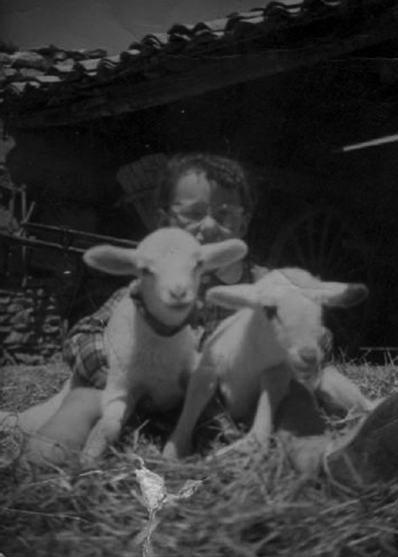NiÃ±o junto a dos corderos. Torralba de los Sisones.