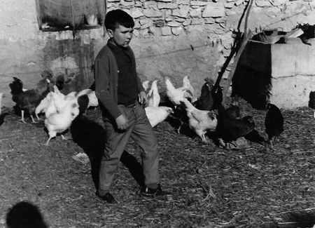 NiÃ±o junto a varias gallinas. Torralba de los Sisones.