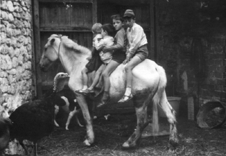 NiÃ±os en el corral. Villarquemado.