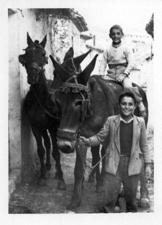 NiÃ±os con burros. BaÃ±Ã³n.