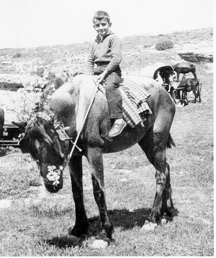 Retrato con caballerÃ­a. Bello