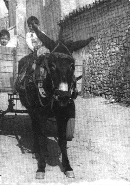 NiÃ±os sobre un carro tirado por un burro. CastejÃ³n de Tornos.
