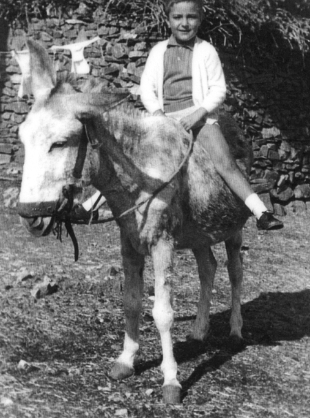 NiÃ±o sobre un burro. CastejÃ³n de Tornos.