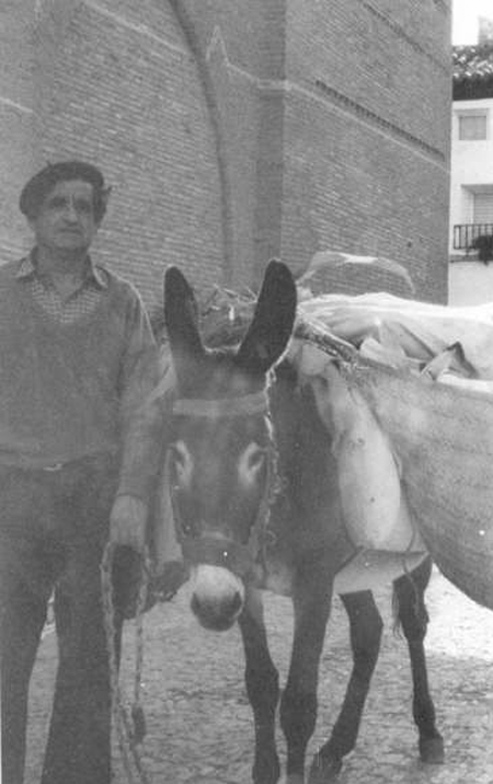 Vecino de Morata de Jiloca junto a un burro.