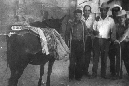 Grupo de hombres junto a un burro. Morata de Jiloca.