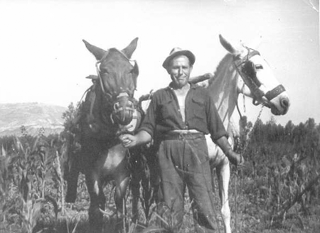 Vecino de Morata de Jiloca con burros y aperos de labranza.