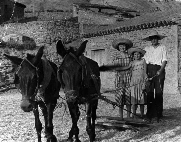 Labores de trilla en Maluenda.