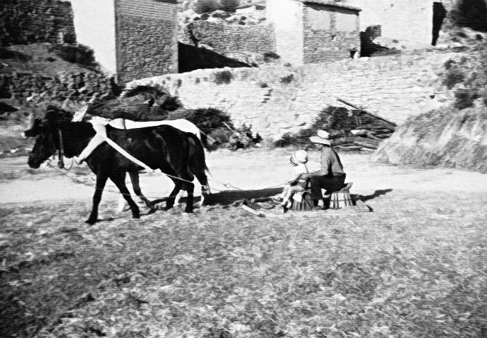 Labores de trilla en Maluenda.