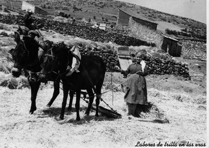 Labores de trilla en las eras