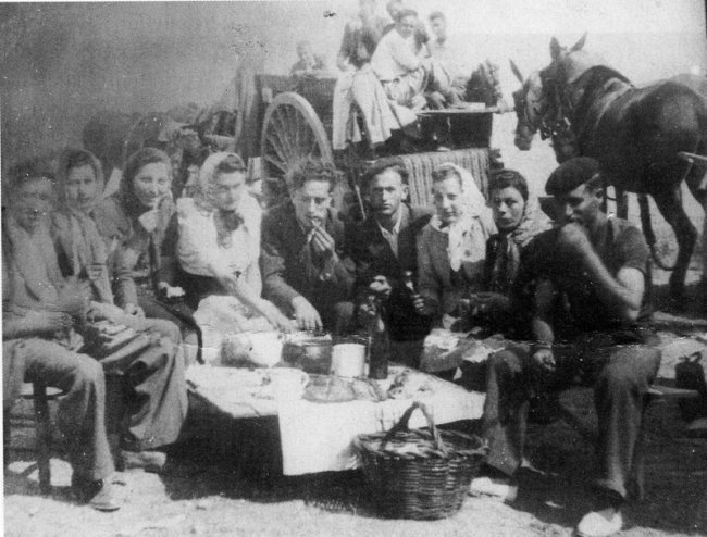 RomerÃ­a al santuario. Herrera de los Navarros