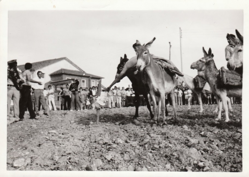 Antiguas carreras de burros