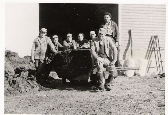 Trabajando en la Cooperativa