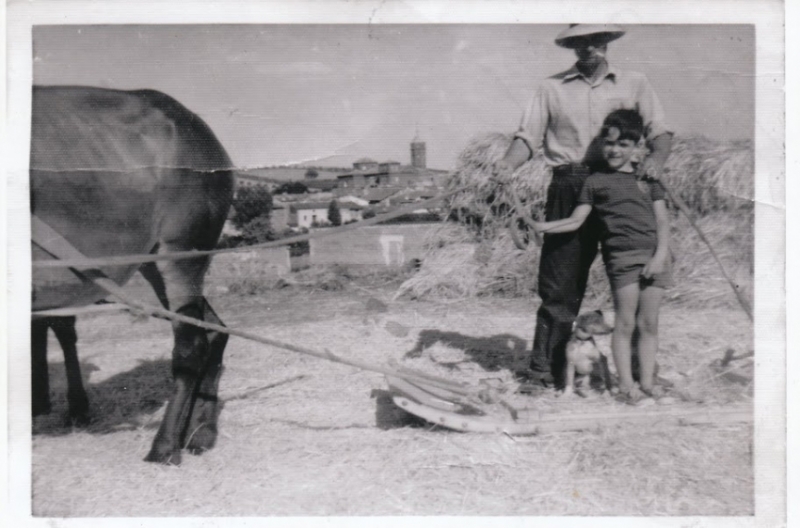 Trillando en las eras