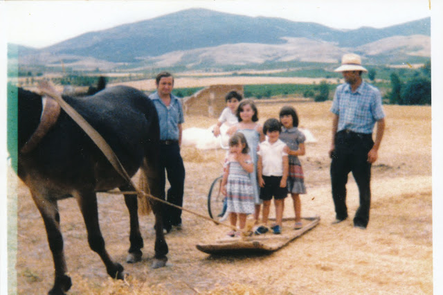 Trillando en las eras