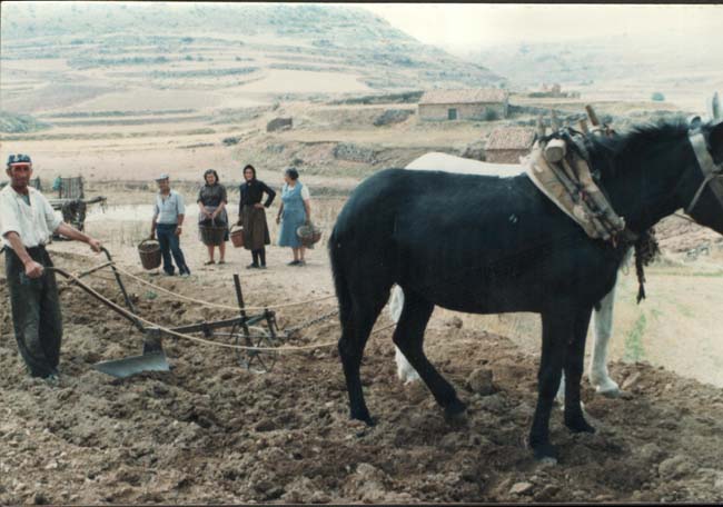 Trabajando en el campo