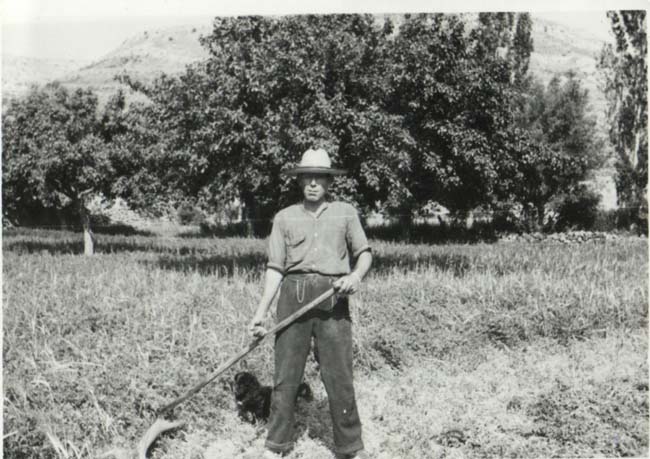 Hombre trabajando en el campo