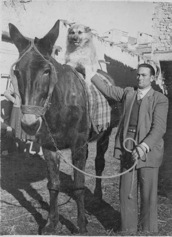 Perro, caballo y amo. BaÃ±Ã³n.