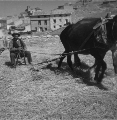 Trillando en la era. BaÃ±Ã³n.