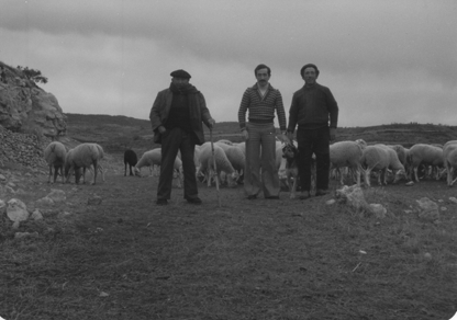 Posando con el pastor y las ovejas. BaÃ±Ã³n.