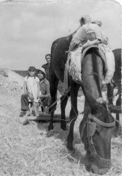 Parada en la trilla. BaÃ±Ã³n.