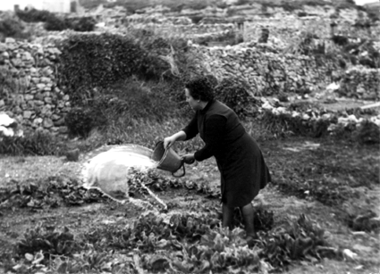 Regando en BaÃ±Ã³n