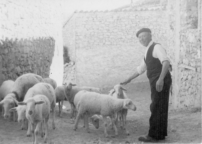 Sacando el rebaÃ±o. BaÃ±Ã³n.