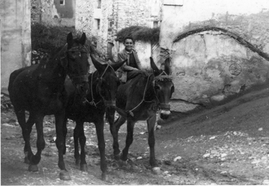NiÃ±os trasladando las caballerÃ­as. BaÃ±Ã³n.