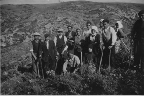 Plantando pinos. BaÃ±Ã³n.