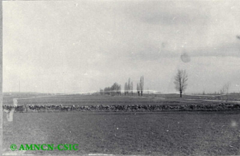 Campos de la localidad