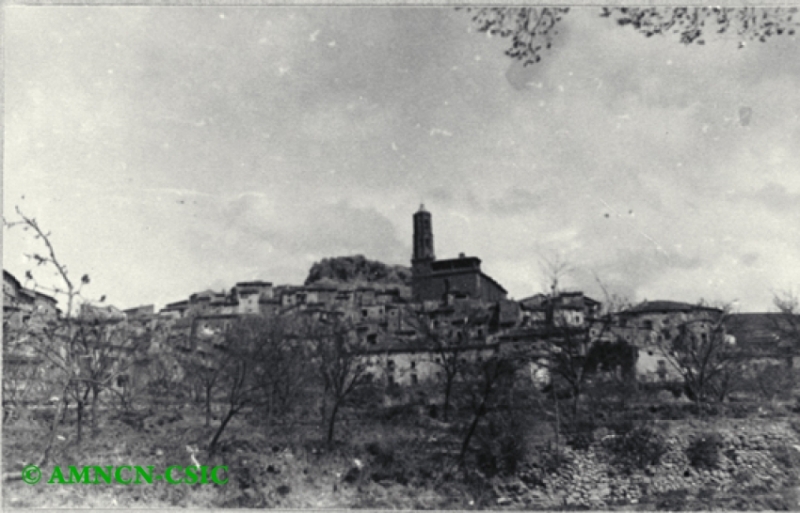 Vista general de Fuentes de Jiloca