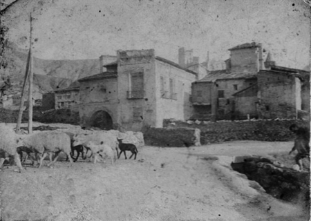 Un rebaÃ±o de ovejas atravesando las calles de Maluenda.