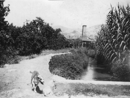 Solar de la cooperativa. Maluenda.