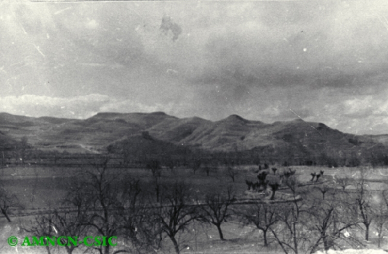 Montes de Velilla de Jiloca